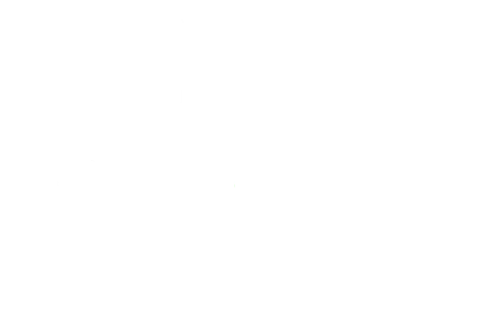 Toilet Roll Types