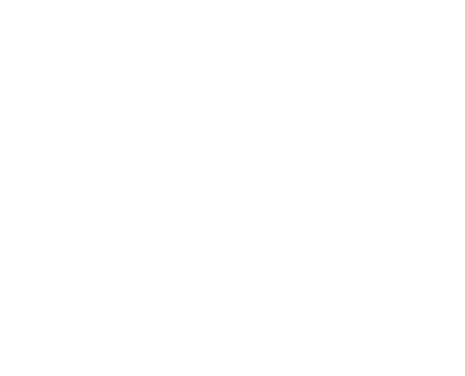 Dual Roll Dispenser